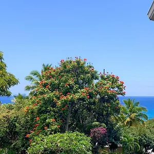 A Little Aloha Apartment Kailua-Kona